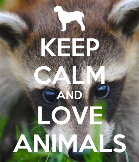 Keep Calm And Love Animals Poster Sally Keep Calm O Matic