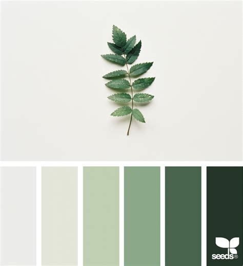 Nature Tones Design Seeds Green Colour Palette Nature Color