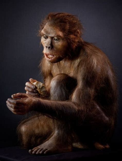 Hominid Reconstructions Are A Blast From The Past Pics