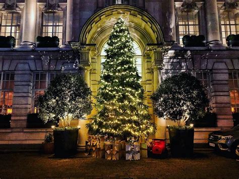 Most of the time, deruni are served with sour cream or baked yogurt. Where to eat Christmas lunch in London | London christmas lights, London christmas market ...