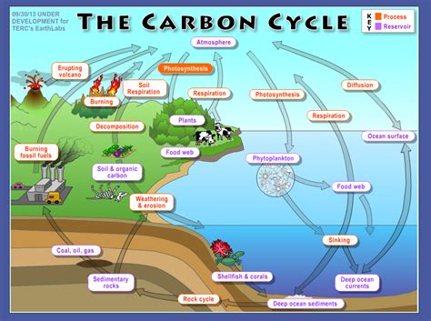 Carbon Dioxide For Kids Mathematics For Sustainability Student Blog