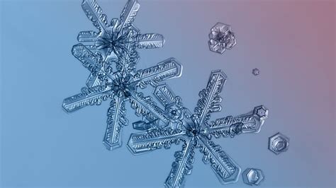 Why Do Snowflakes Have 6 Points A Halifax Expert Breaks Down The Science Of Snow Cbc News