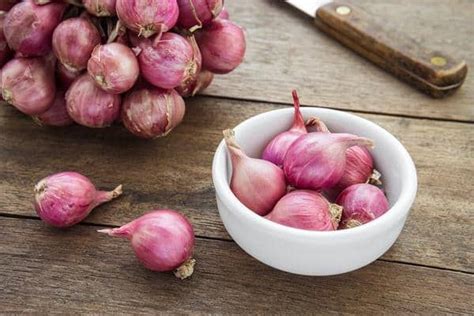 We did not find results for: Jenis-Jenis Bawang yang Paling Sering Digunakan di Indonesia
