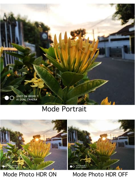 Download gambar wallpaper 3d keren 3d. Paling Keren 20+ Background Bunga Hdr - Gambar Bunga Indah