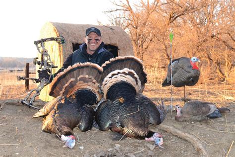 Essential Turkey Tactics For Bowhunters Petersen S Bowhunting