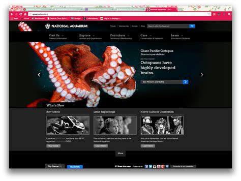 National Aquarium Freaking Awesome Web Design Projects Louisville