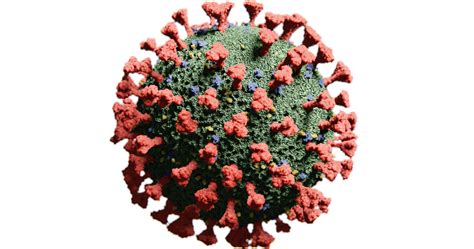 Coronavirus Hku Spike Full Length The Native Antigen Company