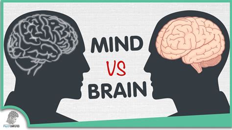 Mind Vs Brain The 5 Differences Youtube