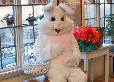 Visit The Easter Bunny Browns Orchard And Farm Markets