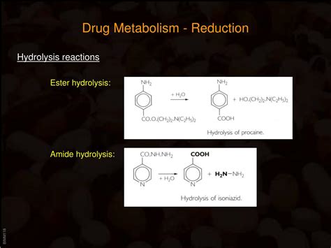 Ppt Drug Metabolism Powerpoint Presentation Free Download Id524660