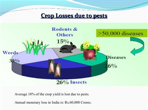 Just as flowers and crops love the warmth of. Jitendra presentation on IIPM