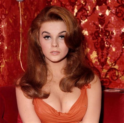 Ann Margret Classic Actresses Beautiful Actresses Vintage Hollywood Classic Hollywood Elvis