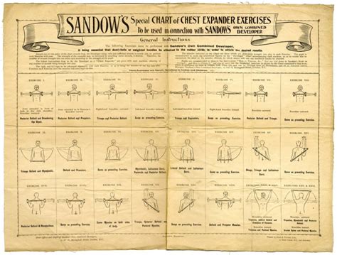 Sandows Special Chart Of Chest Expander Exercises Rogue Usa