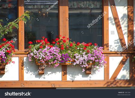 Flower Pots On Window Ledge Stock Photo 1681394 Shutterstock