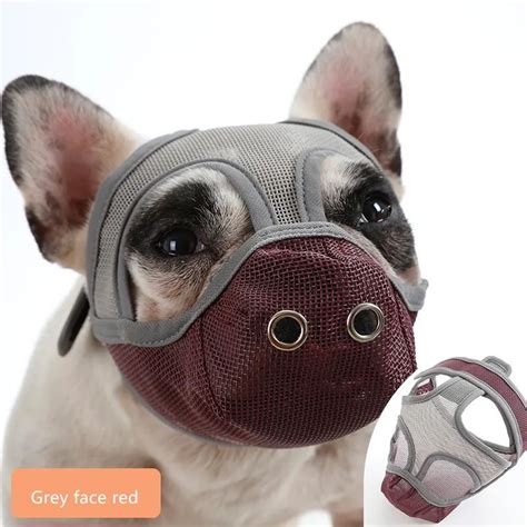 Carrier New Short Snout Dog Muzzles Anti Biting Adjustable Prevent