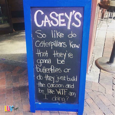 The Funniest Restaurant And Bar Chalkboard Signs Luvthat