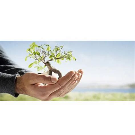 Environmental Consultancy Services At Best Price In Thane ID 11975098848