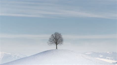 Download Wallpaper 3840x2160 Tree Hill Snow Winter Minimalism 4k