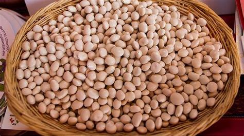 Tarwi Conoce Las Propiedades De Este Superalimento Alimentación Natural Y Tradicional