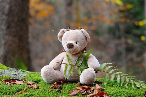 3840x2880 Cute Grass Log Stuffed Animals Stuffed Toys Teddy