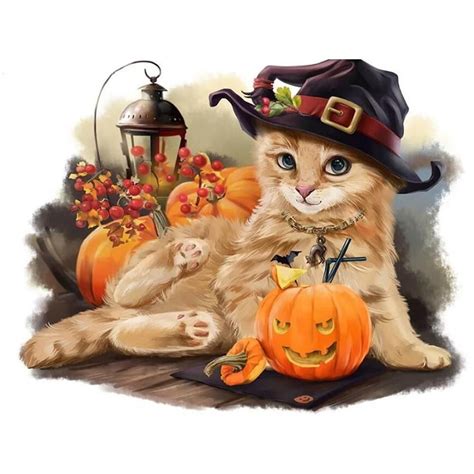 pilgrim kitty cat art halloween cat halloween art