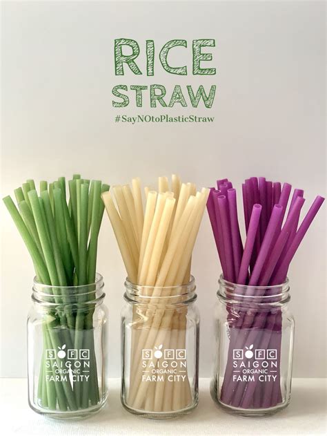 Edible Rice Straw 100 Natural Organic Eco Friendly Etsy