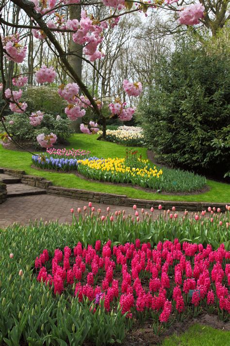 Spring Flower Garden Free Stock Photo Public Domain Pictures