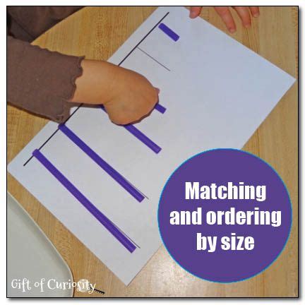 Activity worksheets for nursery, kindergarten and pre school. Matching and ordering by size {free printable ...