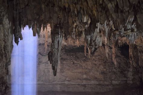 Discover The Mystery Of 7 Cenotes In Mexico Rad Season