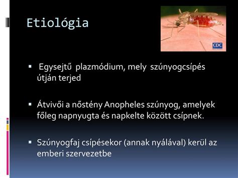 Check spelling or type a new query. Hatékony tabletták férgek és paraziták ellen - Áttétes ...