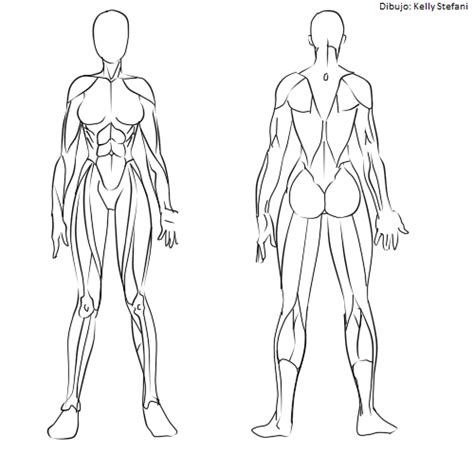 ¿cómo Dibujar Los Músculos Manga Ilustraideas