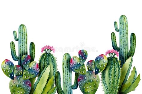 Template With Watercolor Cacti Colorful Illustration Isolated On White