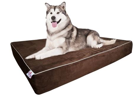 Best dog beds for large breeds canada. Extra+Large+Dog+Bed+for+Large+Breed+Dogs+Orthopedic+PLUS ...