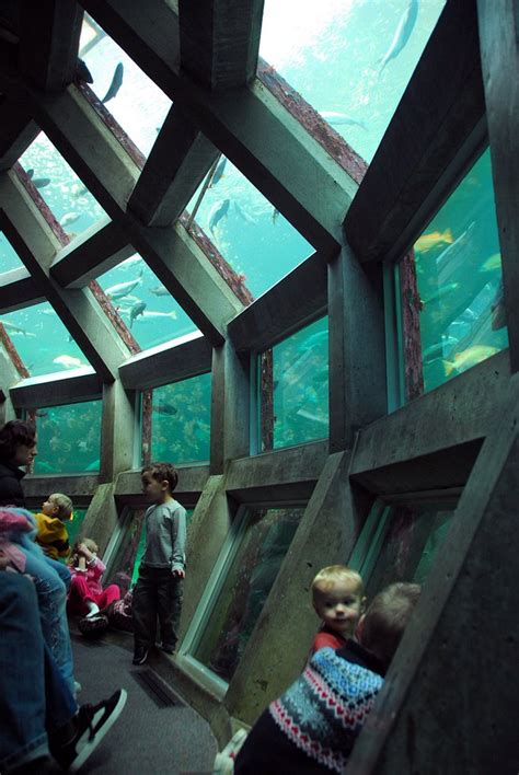 Visiting The Seattle Aquarium