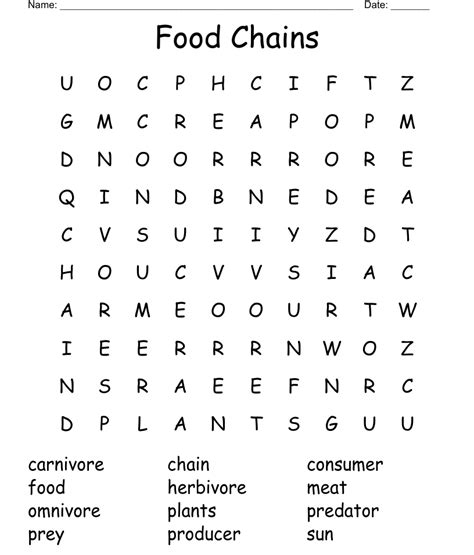 Food Chains Word Search Wordmint