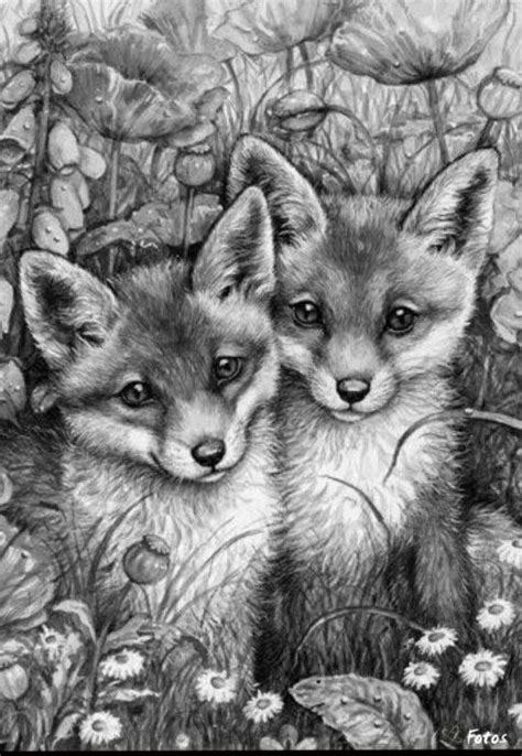 The 25 Best Animal Drawings Ideas On Pinterest Pencil