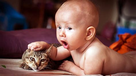 Top Funny Baby And Cat Moments World Cat Comedy