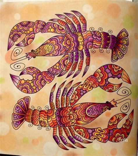 Find more seafood coloring page pictures from our search. Wonders of Creation coloring book | Coloring books ...