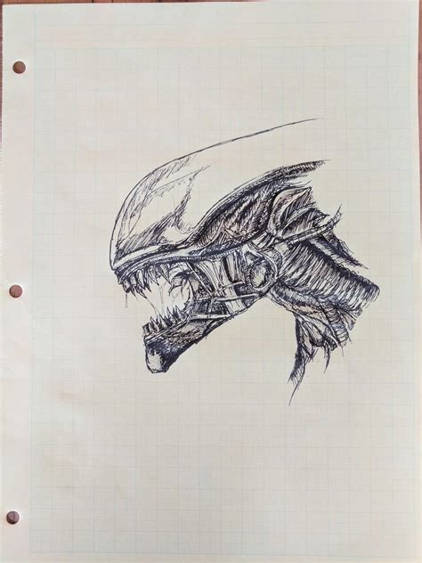 How To Draw A Xenomorph Head
