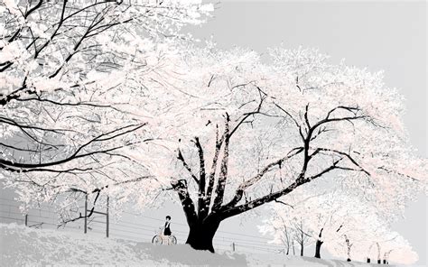 Anime Tree And White Image Snow Cherry Blossom Tree 1440x900