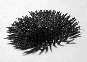 A railroad car's wheels are guided along the tracks by coning of the wheels. Neil Fraser: News: Iron Filings