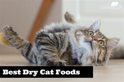 Top picks related reviews newsletter. CatfoodDB's Unbiased List Of The Best Dry Cat Foods (2020)
