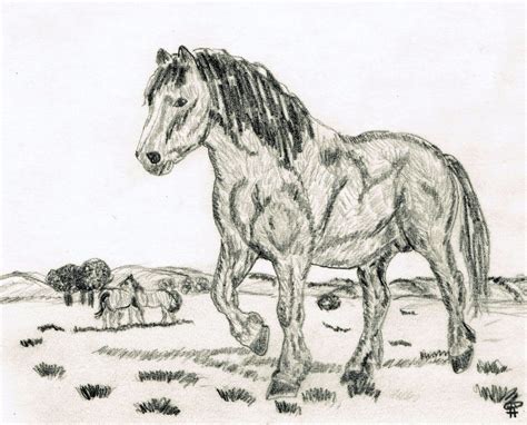 26 Koleksi Sketsa Gambar Fauna Kuda Terlengkap Perangmeme