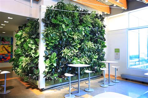 Indoor Living Walls Livewall Vertical Plant Wall System