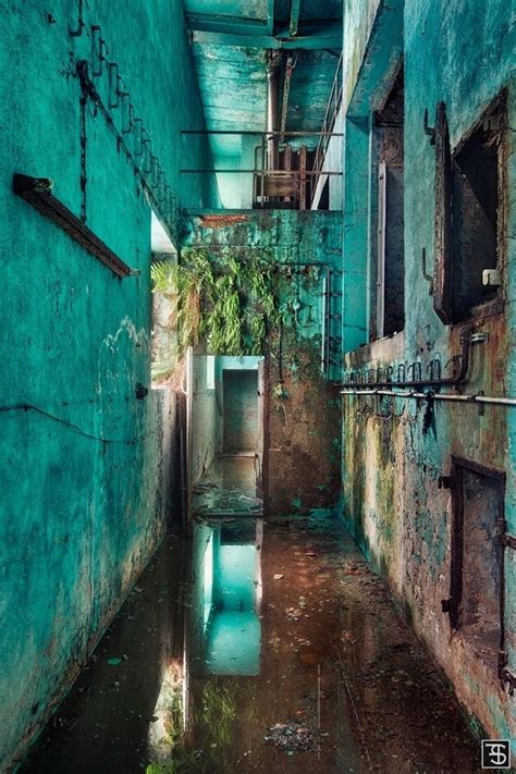 Exploration Urbaine Peeling Green Wall Abandoned Buildings Old Buildings Abandoned Places