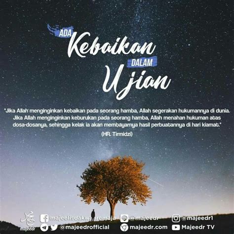 Pin on Muslim quotes