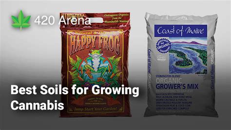 Top 5 Best Soils For Growing Cannabis 2020 Reviewed