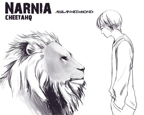 The Chronicles Of Narnia Disney Image By Cheetahq 963027