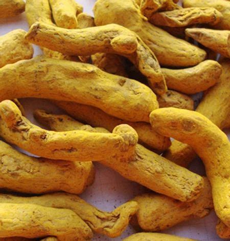 Turmeric Fingers At Best Price In Madurai By Universal Agri Service