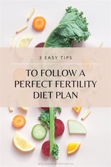 The Perfect Fertility Diet For Women Ttc — Wellspring Nutrition Fertility Diet Plan Fertility